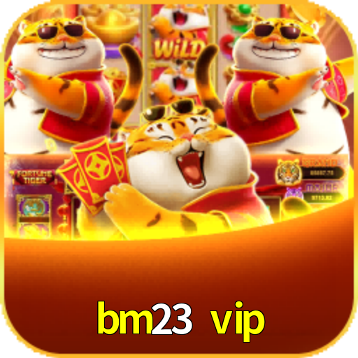 bm23 vip